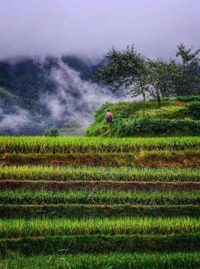 Longji Terrace La Vie Inn Longsheng Buitenkant foto