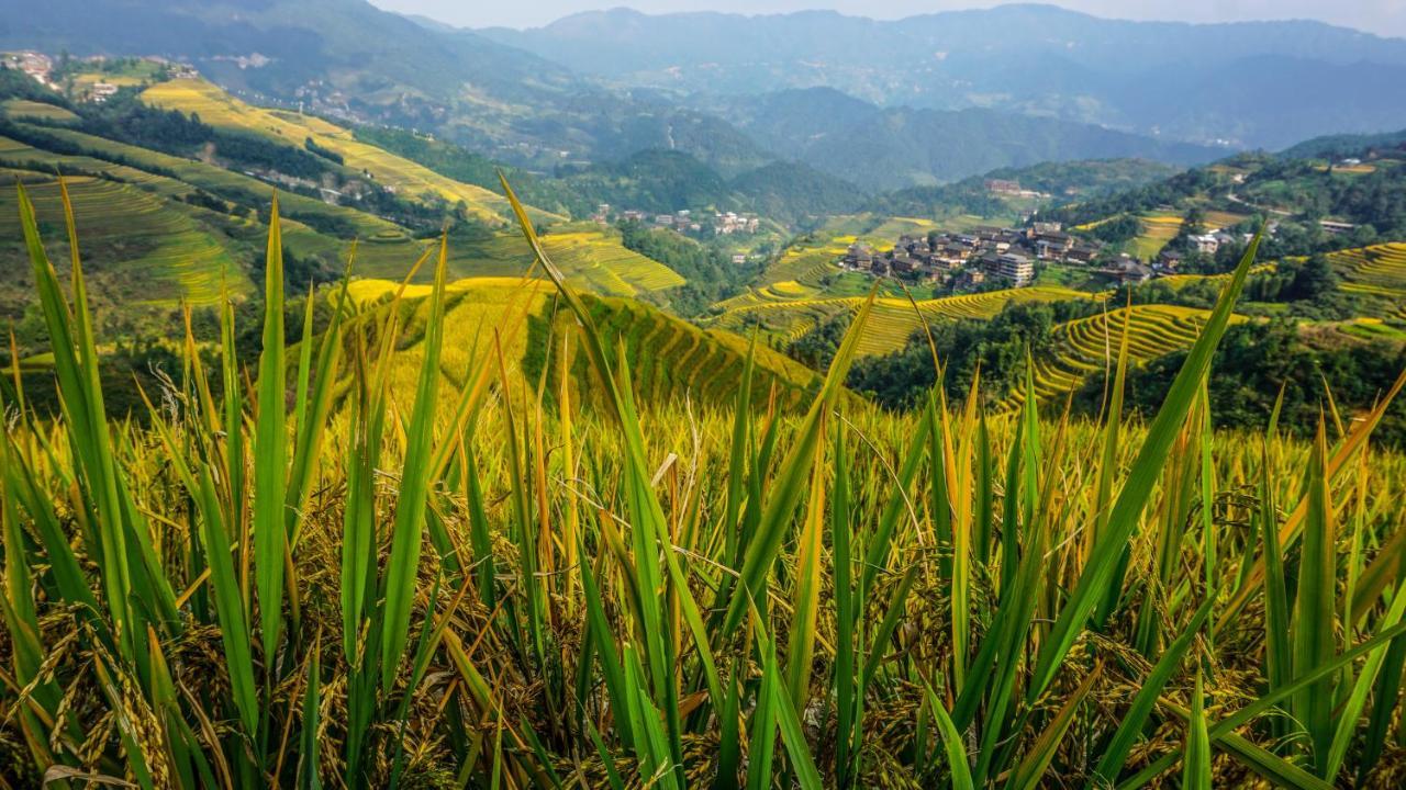 Longji Terrace La Vie Inn Longsheng Buitenkant foto