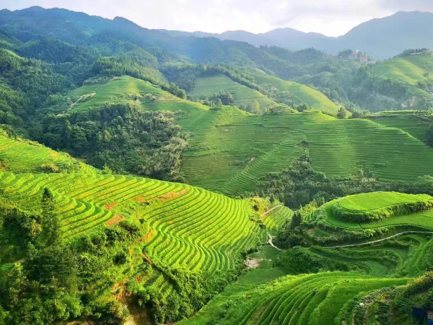 Longji Terrace La Vie Inn Longsheng Buitenkant foto